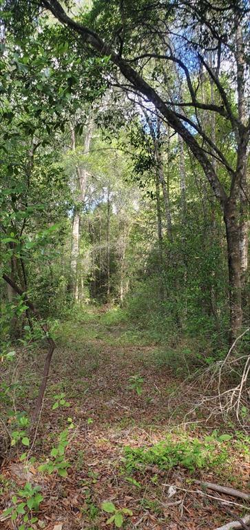 TBD 3 Eldon Ln, Shepherd, TX 77371 for Sale