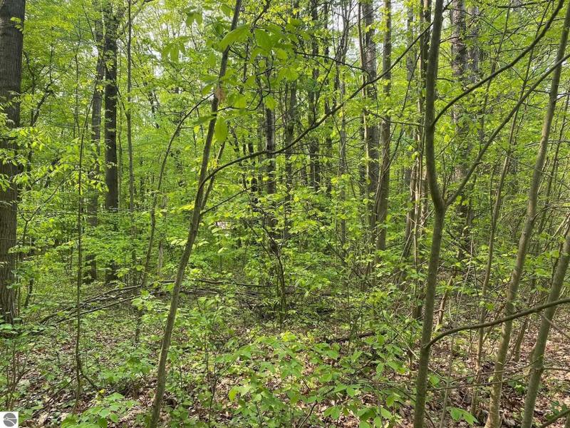 Reed City, Osceola County, MI Undeveloped Land, Homesites for sale Property ID: 418042517