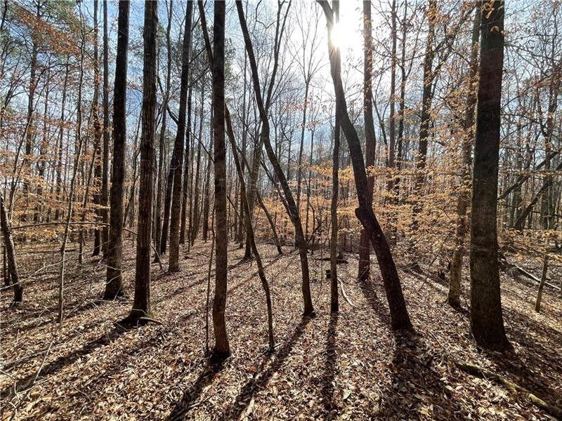 Valley, Lee County, AL Undeveloped Land, Homesites for sale Property ID: 418101912
