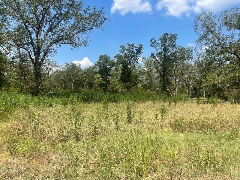 0 Carroll Rd, Richmond, TX 77469 for Sale