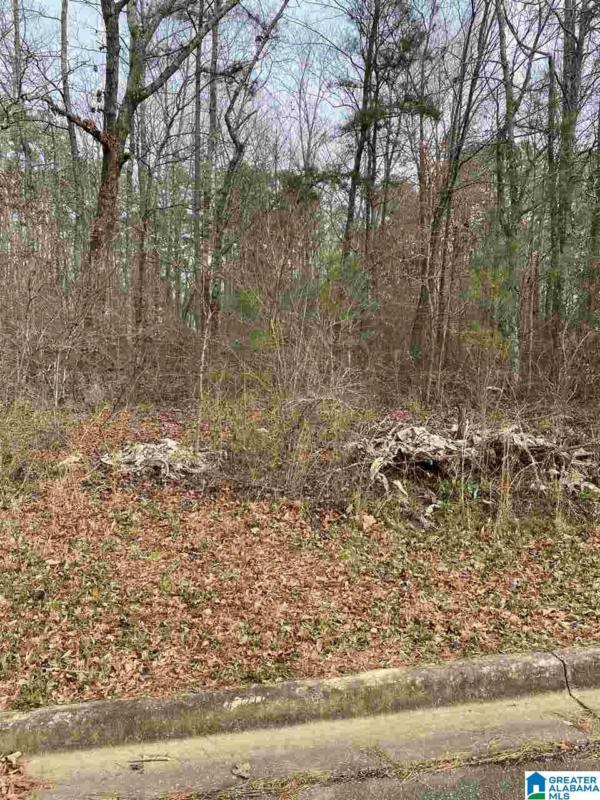 43 PEYTON PL # 5, ANNISTON, AL 36207 Land For Sale  MLS# 1275769