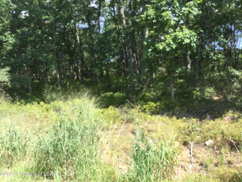 Hazleton, Luzerne County, PA Undeveloped Land, Homesites for sale Property ID: 416240887