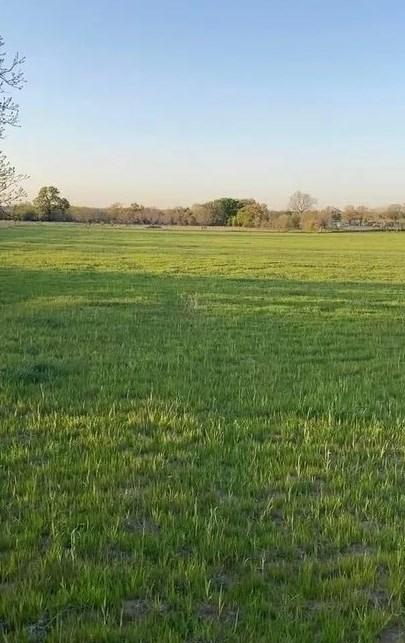 Lot 12 County Road 3420, Bridgeport, TX 76426 - MLS 20484093 for Sale
