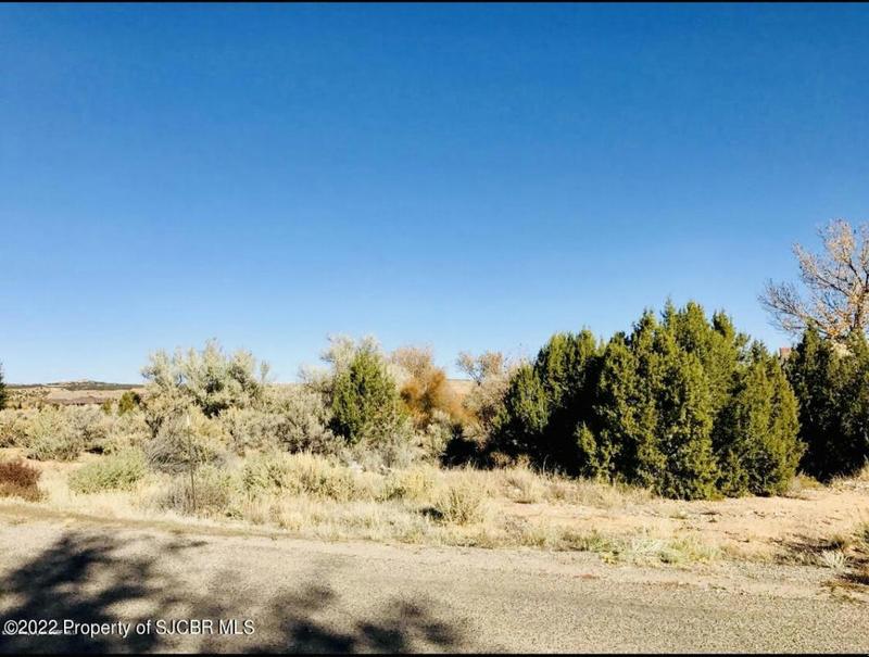 LOT 60 ROAD 3632, Aztec, NM 87410 Land For Sale  MLS# 22-1819