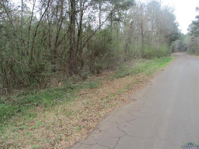 TBD CR 3163, Laneville, TX 75667 for Sale