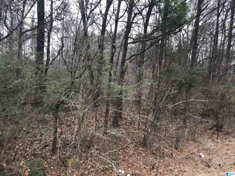 0 RENFRO ROAD # 12, ALPINE, AL 35014 Land For Sale  MLS# 1348788