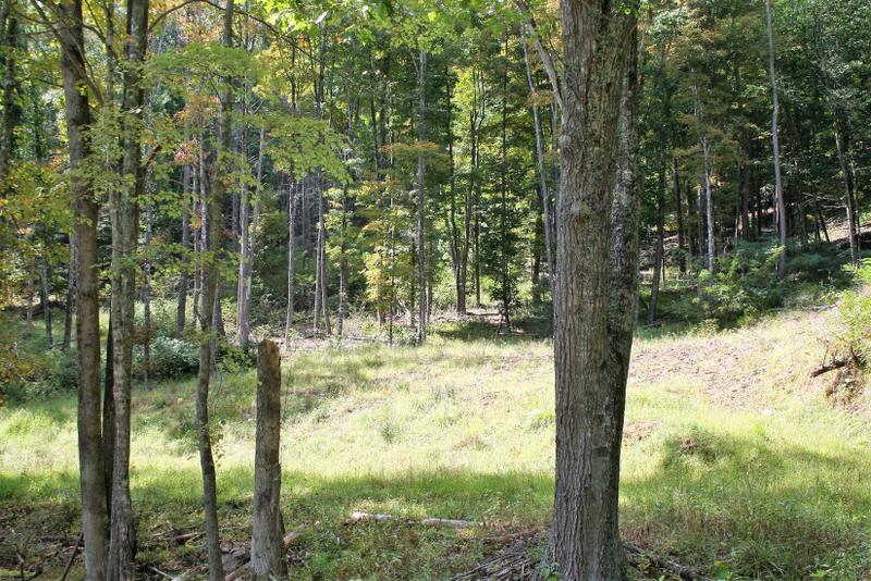 Monterey, Highland County, VA Undeveloped Land for sale Property ID: 417635613