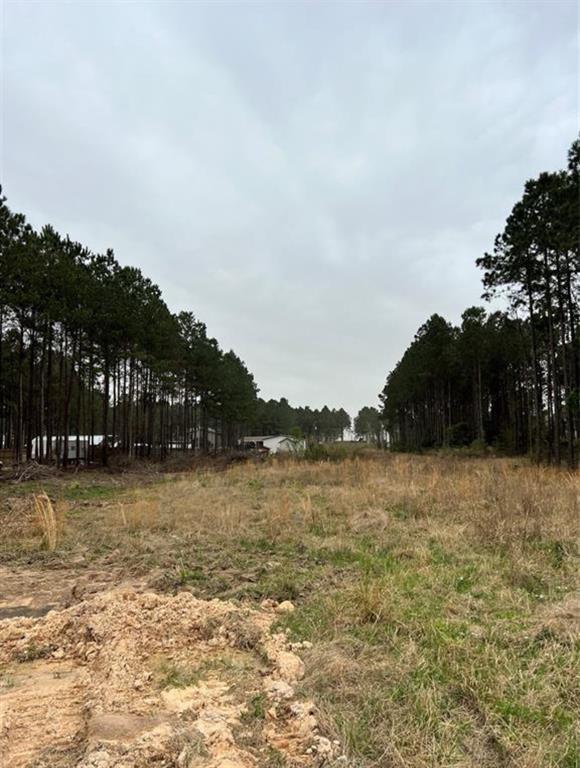 1682 County Road 3560, Cleveland, TX 77327 for Sale