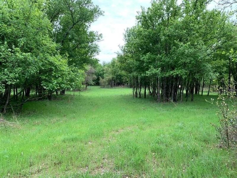 TBD CR 468, De Leon, TX 76444 for Sale