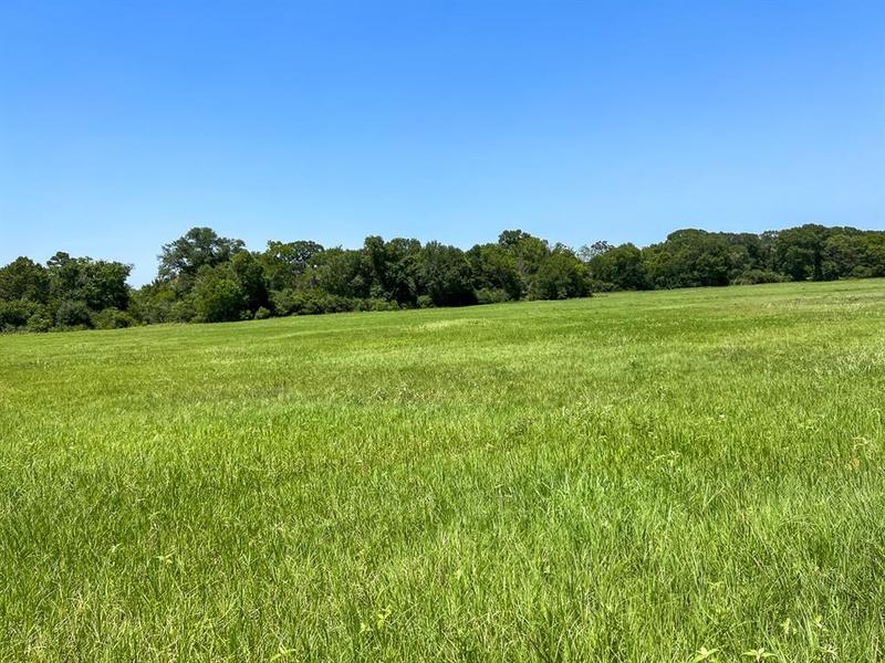 07B Private Road off County Road 3625A, Lovelady, TX 75851 for Sale