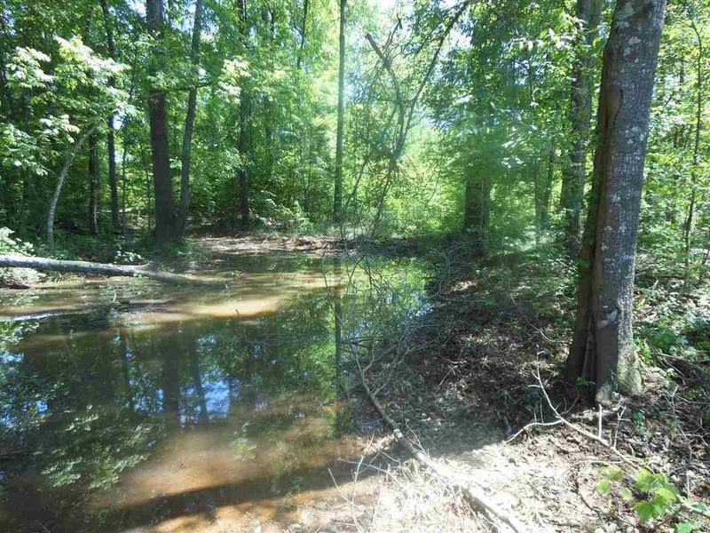 437 Old Tejas Trail West, Hemphill, TX 75948 for Sale