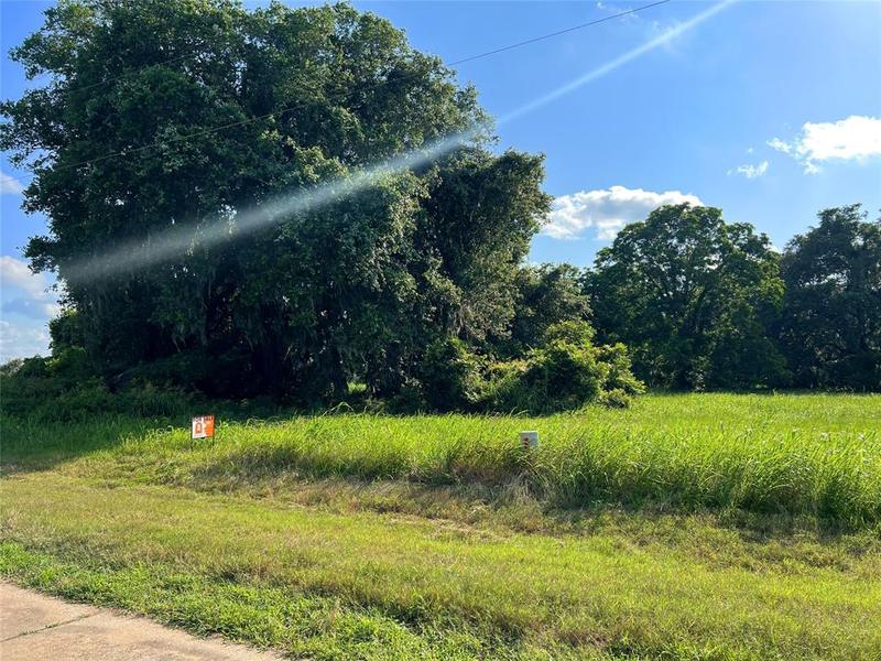 106 Pony Trl, Angleton, TX 77515 for Sale