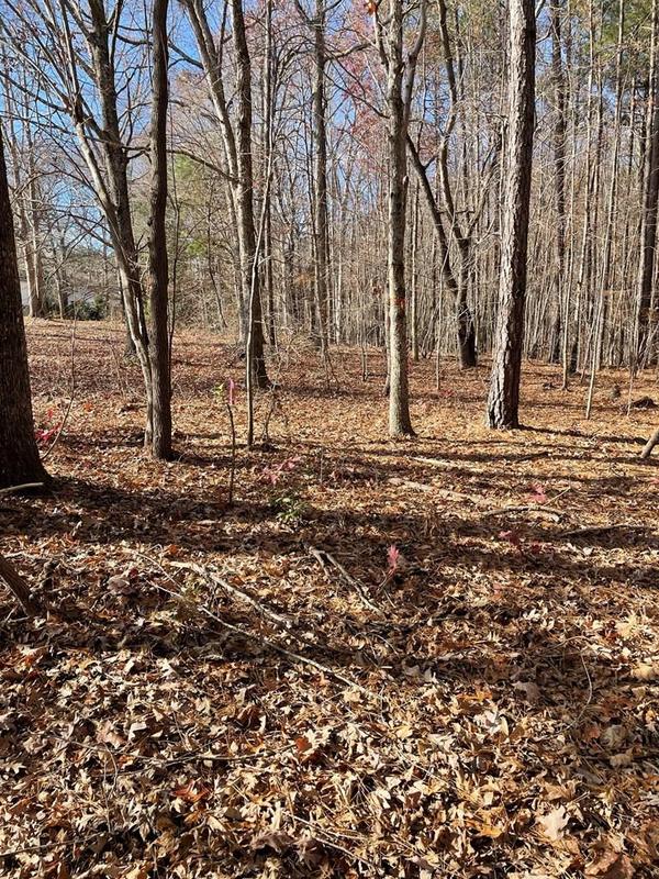 ACREAGE MT. ARARAT RD. Clarksville, VA 23927 Land For Sale  MLS# 130888