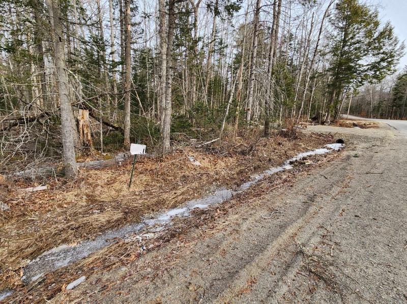 195-197 Poplar St, Old Town, ME 04468 - MLS 1580251 for Sale