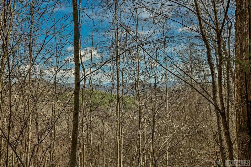 LOT 47 YELLOW PALMER LANE, Tuckasegee, NC 28783 Land For Sale  MLS# 101720
