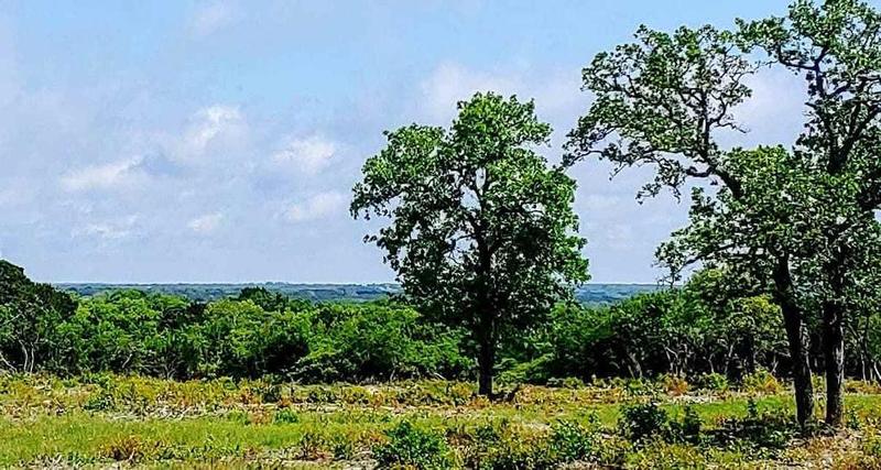 0 Cr 250 Road Lot 12, Burnet, TX 78611 for Sale