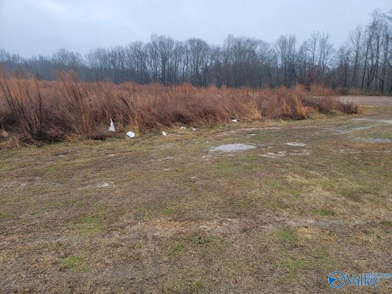 Toney, Madison County, AL Undeveloped Land, Homesites for sale Property ID: 418742484