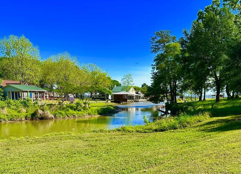 Lot 14 Harrell Cemetery Rd, Coldspring, TX 77331 for Sale