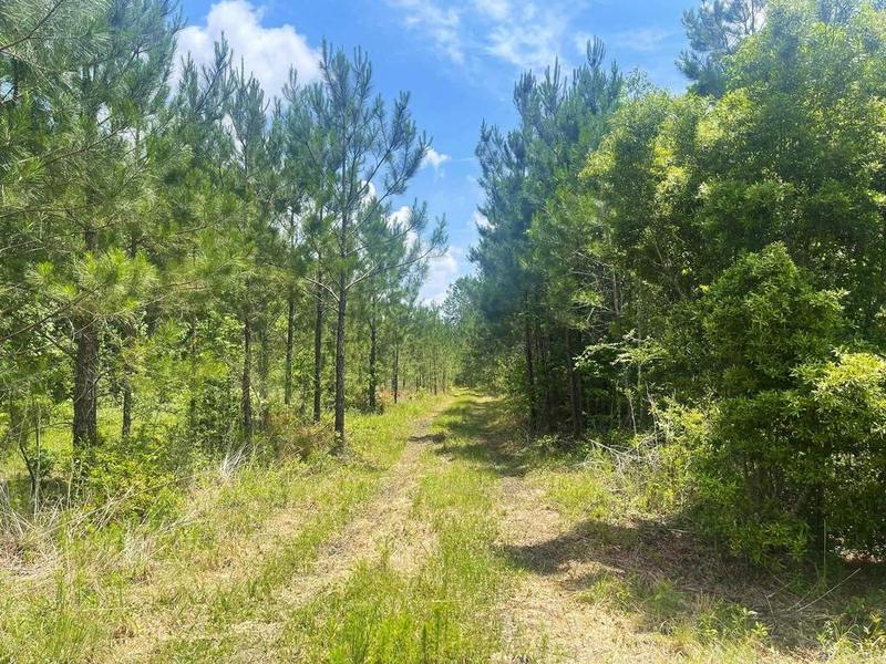 TBD PR 8480, Warren, TX 77664 for Sale