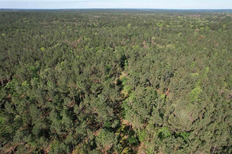 TBD CR 2155 - Tract A, Crockett, TX 75835 for Sale