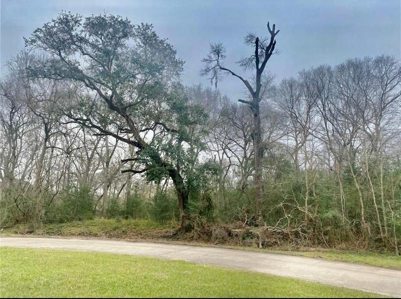 1232 Chuckwagon Ct, Angleton, TX 77515 for Sale