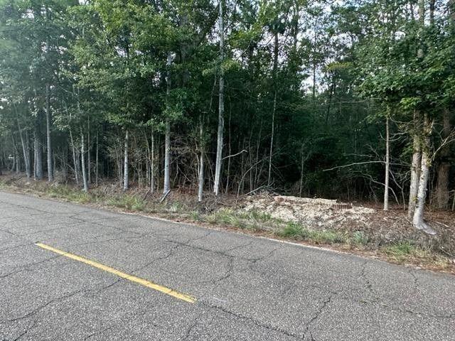 Bush, Saint Tammany Parish, LA Undeveloped Land, Homesites for sale Property ID: 417581008