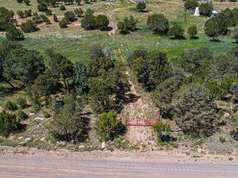 36 Forest Road 321, Estancia, NM 87016  605063131 for Sale