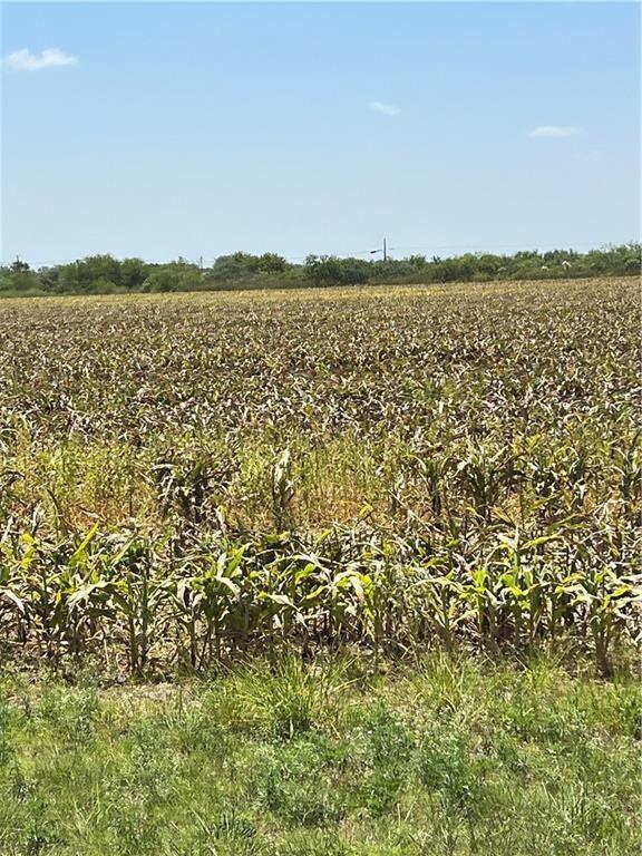 15489 County Road 1726, Odem, TX 78370 for Sale