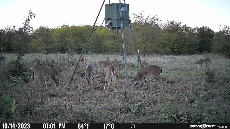 TBD8 County Road 421, Desdemona, TX 76444 for Sale