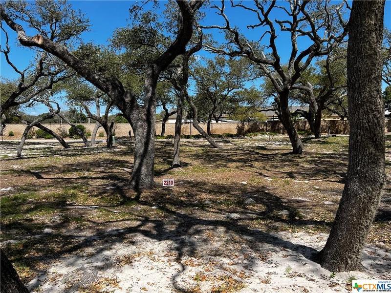2210 Royal Oaks Trail, Fulton, TX 78358 for Sale