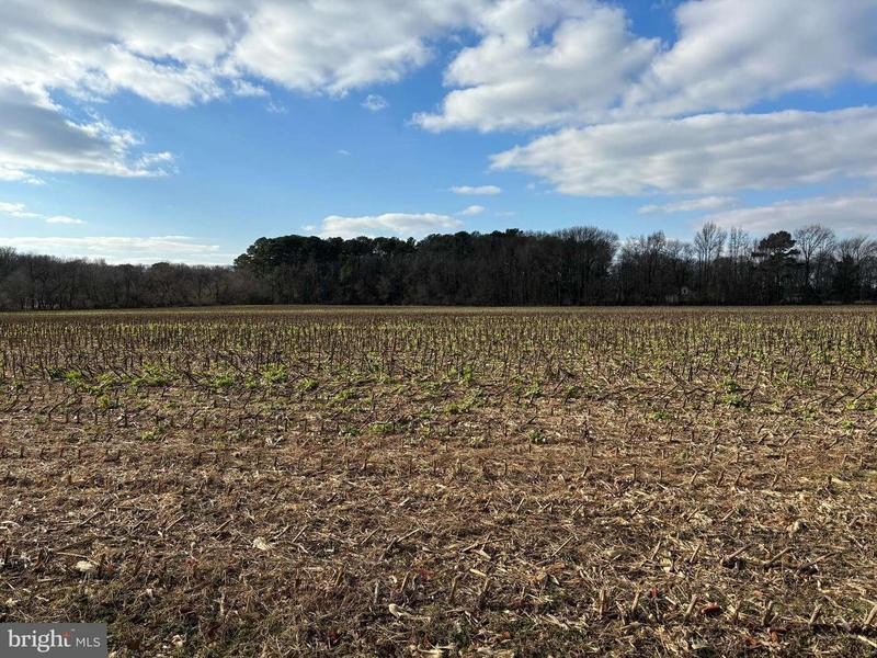 COKESBURY ROAD, RHODESDALE, MD 21659  621227745 for Sale