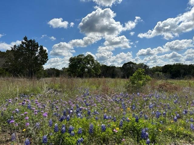 72A Oak Vista Dr, Burnet, TX 78611 for Sale