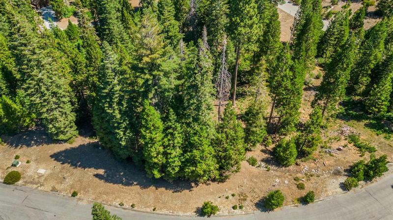 23 FOXGLOVE LANE, Shaver Lake, CA 93664 Unimproved Land For Sale  MLS# 600731 for Rent