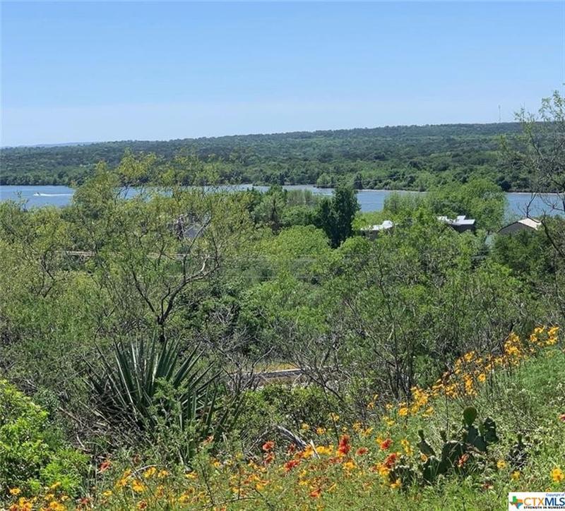 69 War Bonnet Ridge, Kingsland, TX 78639 for Sale
