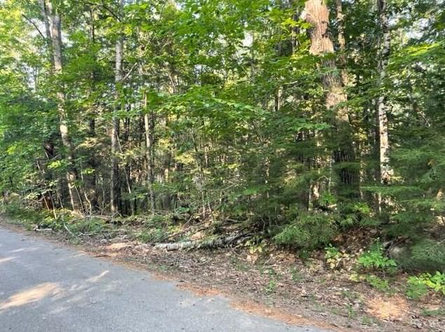 Lovejoy Shores Dr, Fayette, ME 04349 - MLS 1569123 for Sale