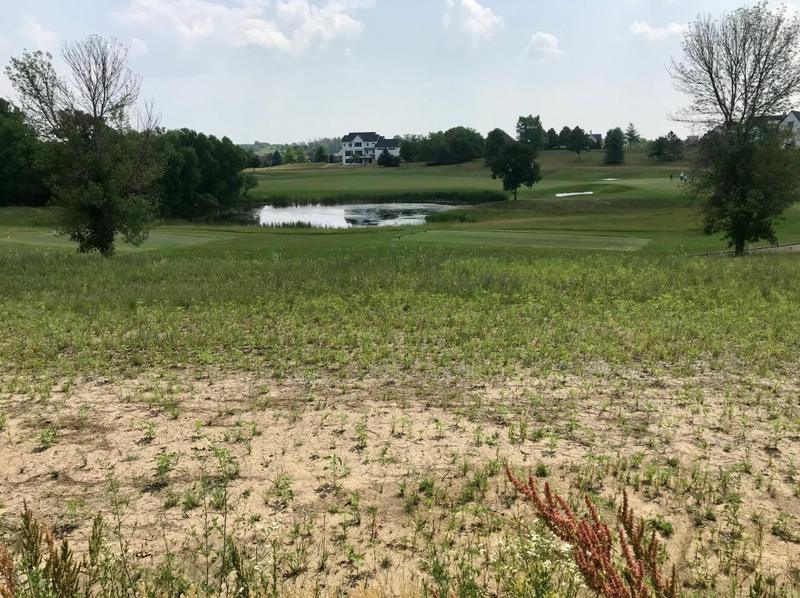 1466 Delamere Dr NE, Byron, MN 55920 - MLS 6172843 for Sale