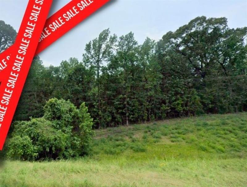 0 The Woods, Coldspring, TX 77331 for Sale