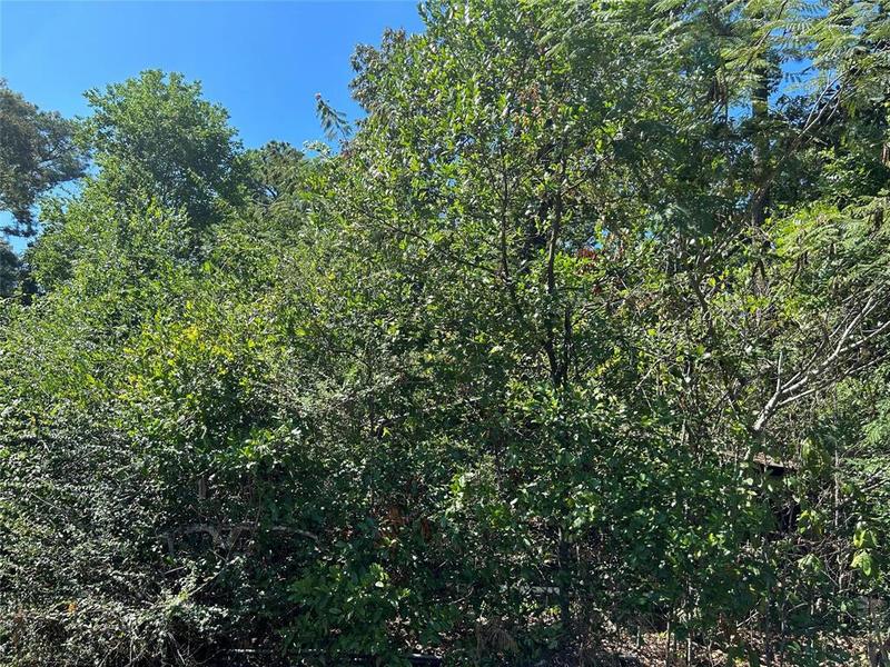 130 COUNTY ROAD 4151, Woodville, TX 75979 Land For Sale  MLS# 90923558