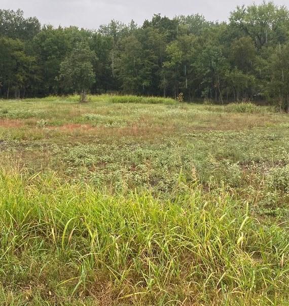 17 D Cedar, Mexia, TX 76667 - MLS 20504253 for Sale