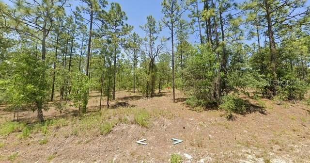 0 NW HEMLOCK AVENUE, DUNNELLON, FL 34431 Land For Sale  MLS# O6150739 for Rent