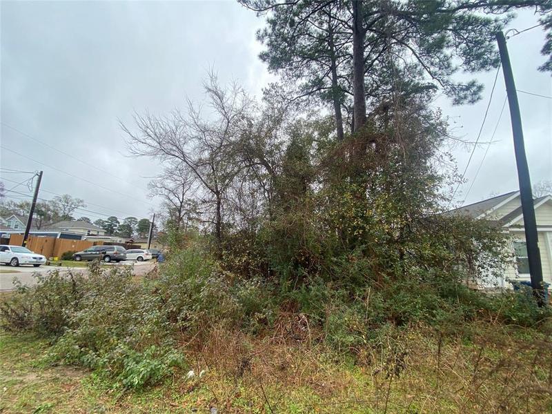 801 Palmdate, Montgomery, TX 77316 for Sale
