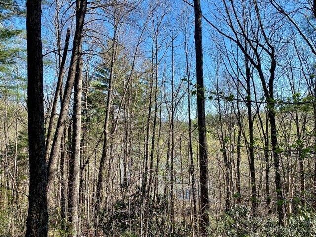 In Nebo NC 28761 for Rent