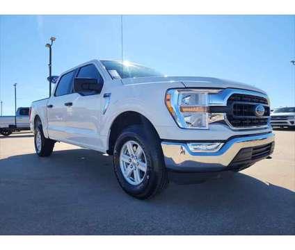 2021 Ford F-150 XLT for Sale