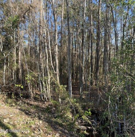 Plot For Sale In Picayune, Mississippi