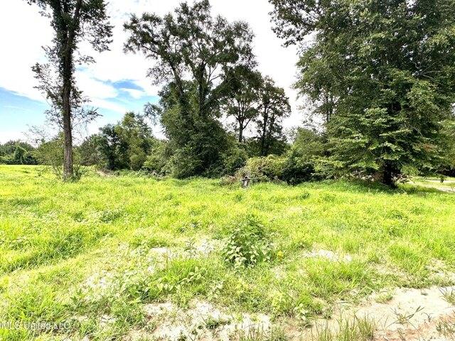 Plot For Sale In Beaumont, Mississippi