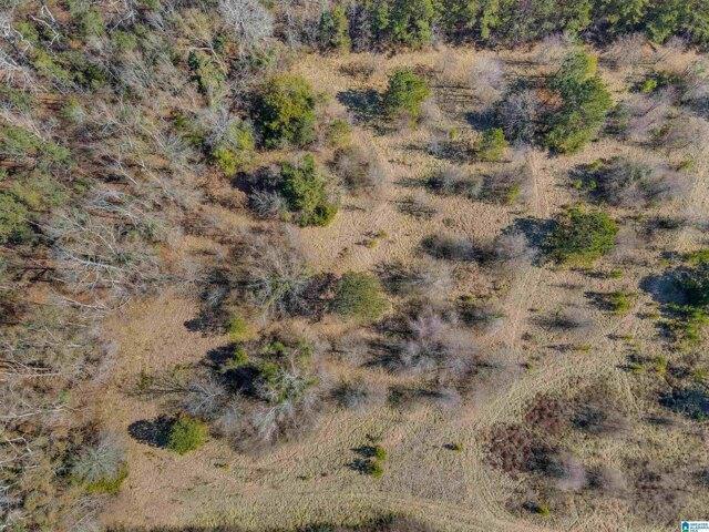 Plot For Sale In Clanton, Alabama