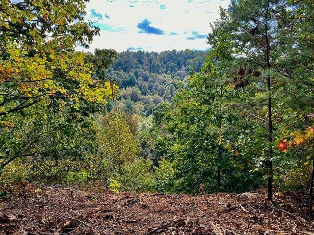 Plot For Sale In Denniston, Kentucky