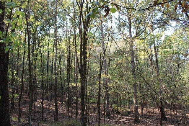 Plot For Sale In Coffeeville, Mississippi