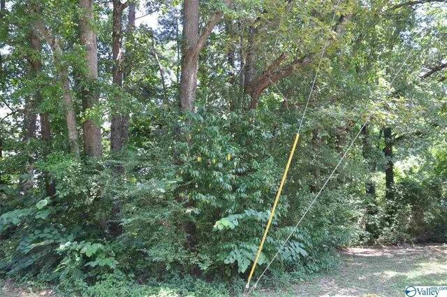Plot For Sale In Arab, Alabama