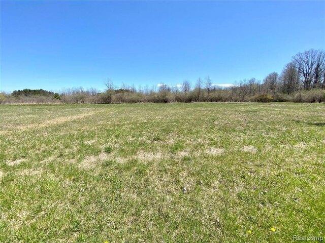 Plot For Sale In Clyde Township, Michigan